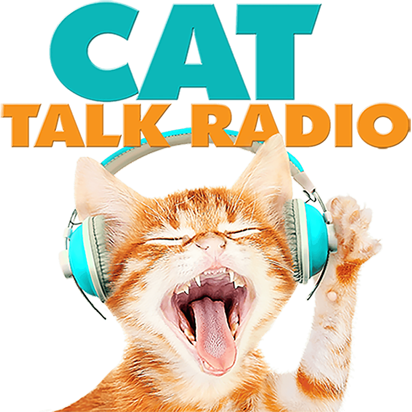 Cat Talk Radio - Podcasts