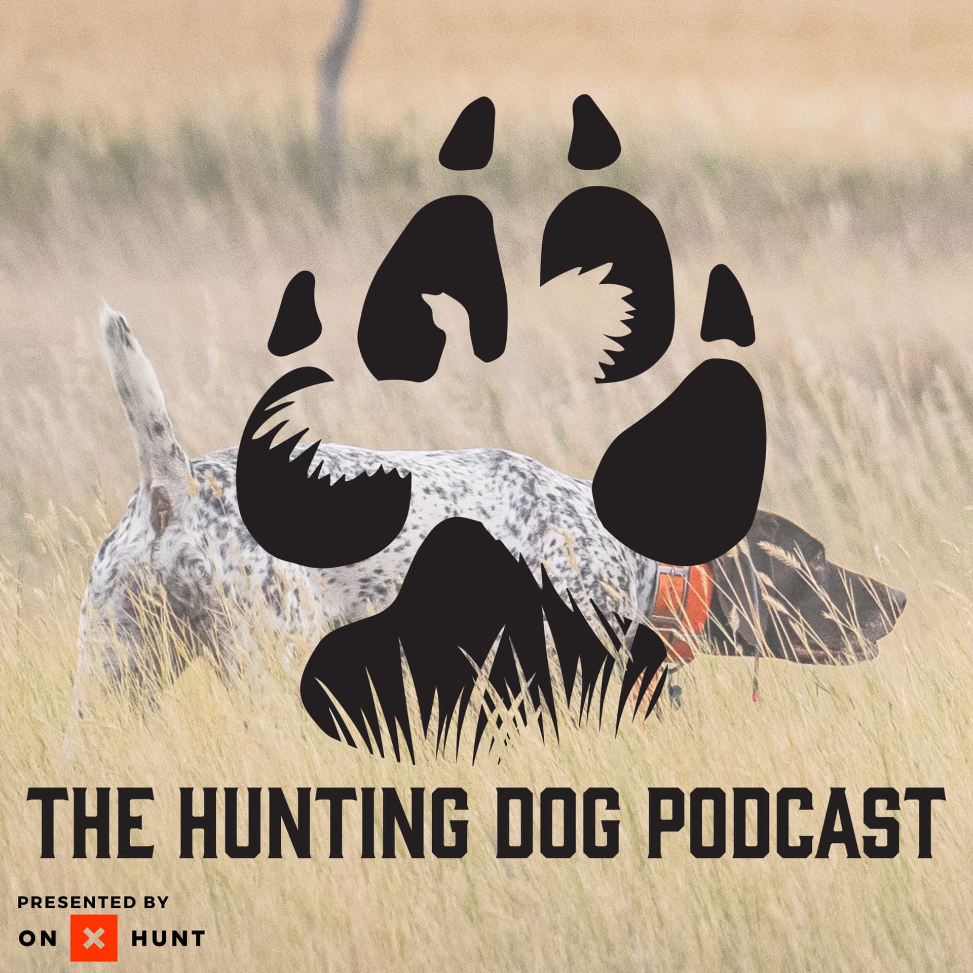 The Hunting Dog Podcast - Podcasts