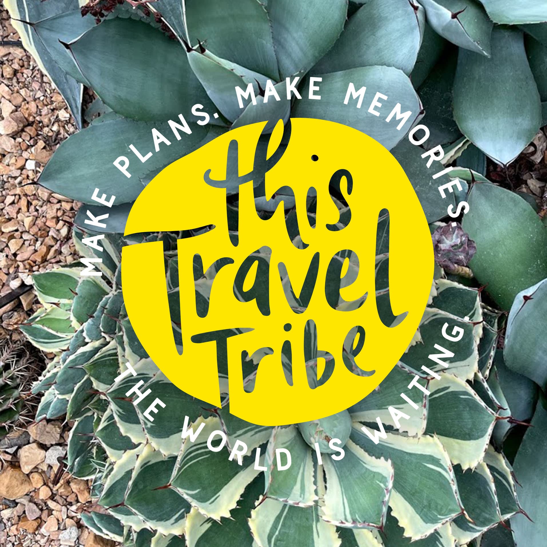 This Travel Tribe - Podcasts
