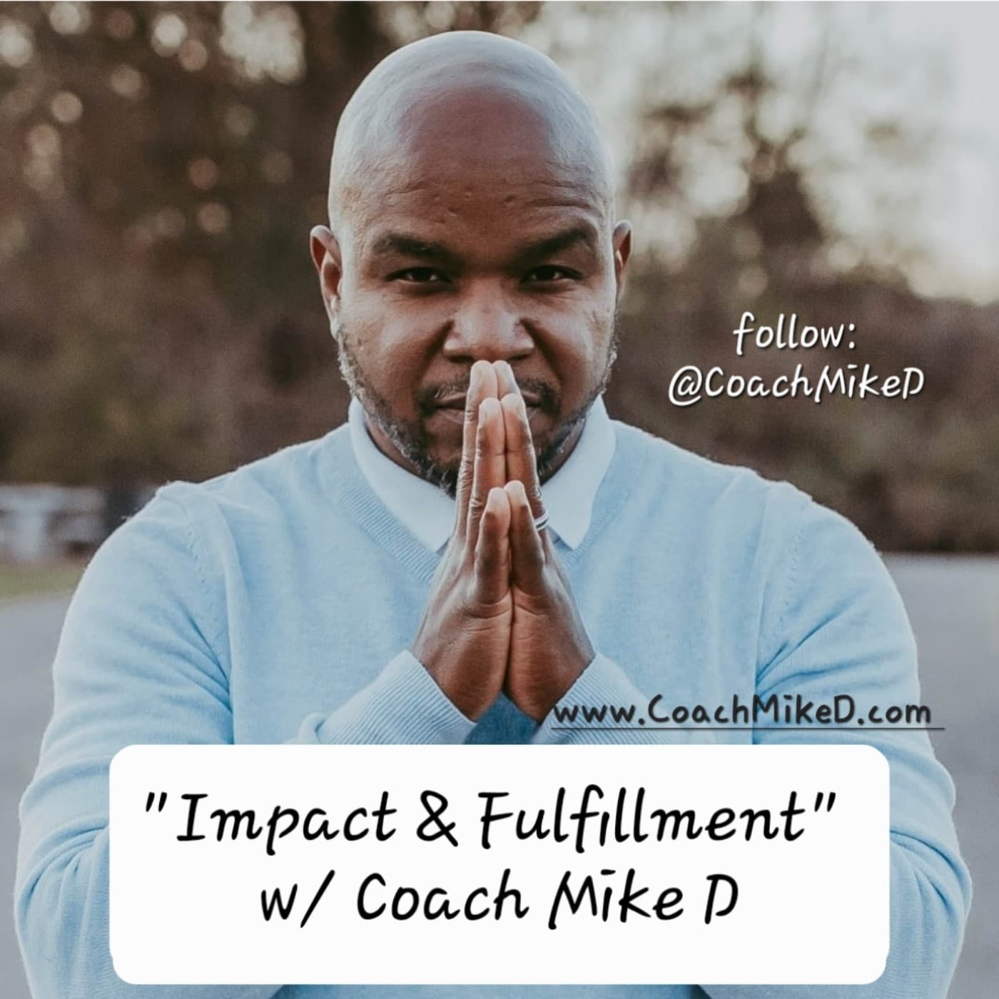 Impact and Fulfillment with Coach Mike D - Podcasts