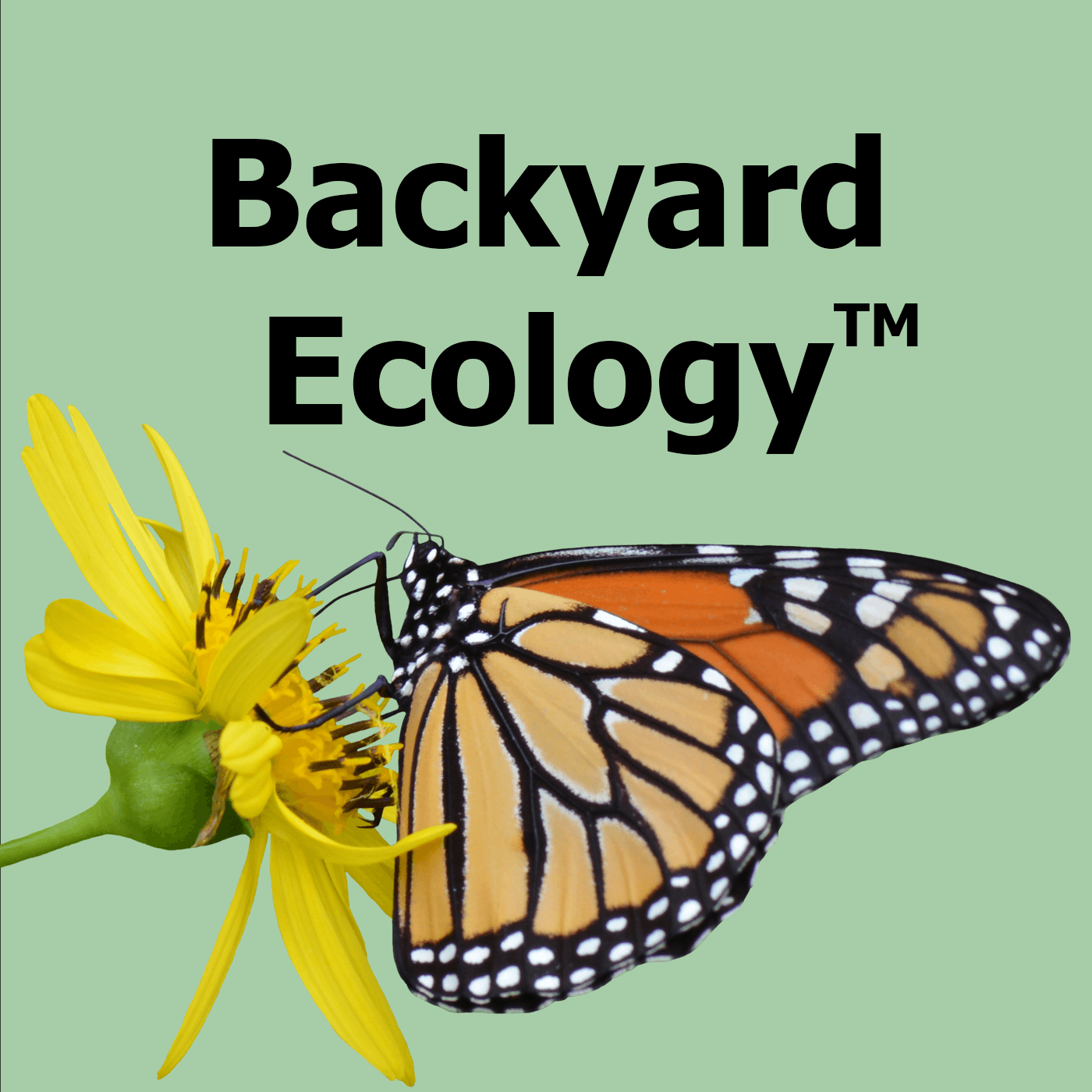 Backyard Ecology™ - Podcasts