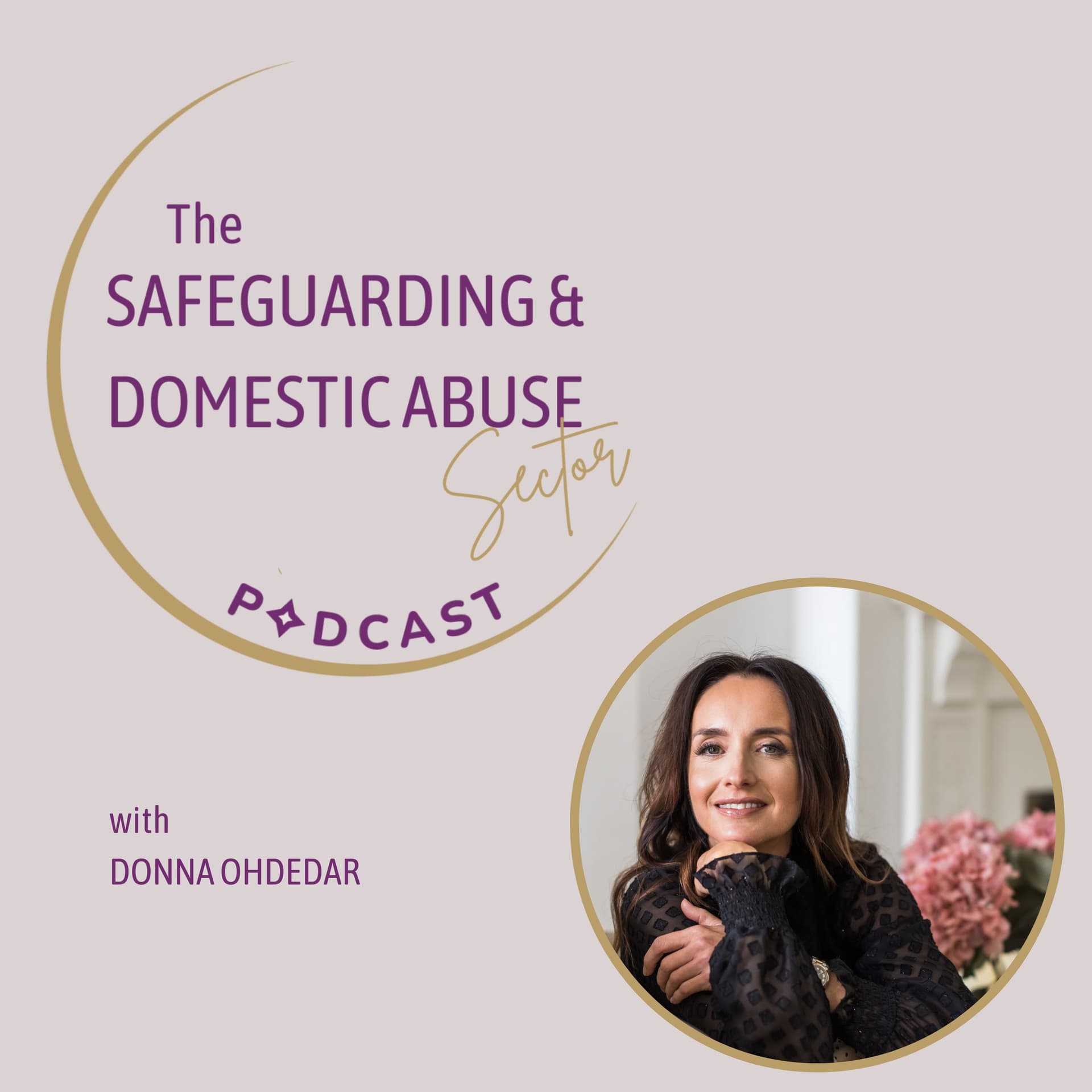 The Safeguarding and Domestic Abuse Sector Podcast - Podcasts
