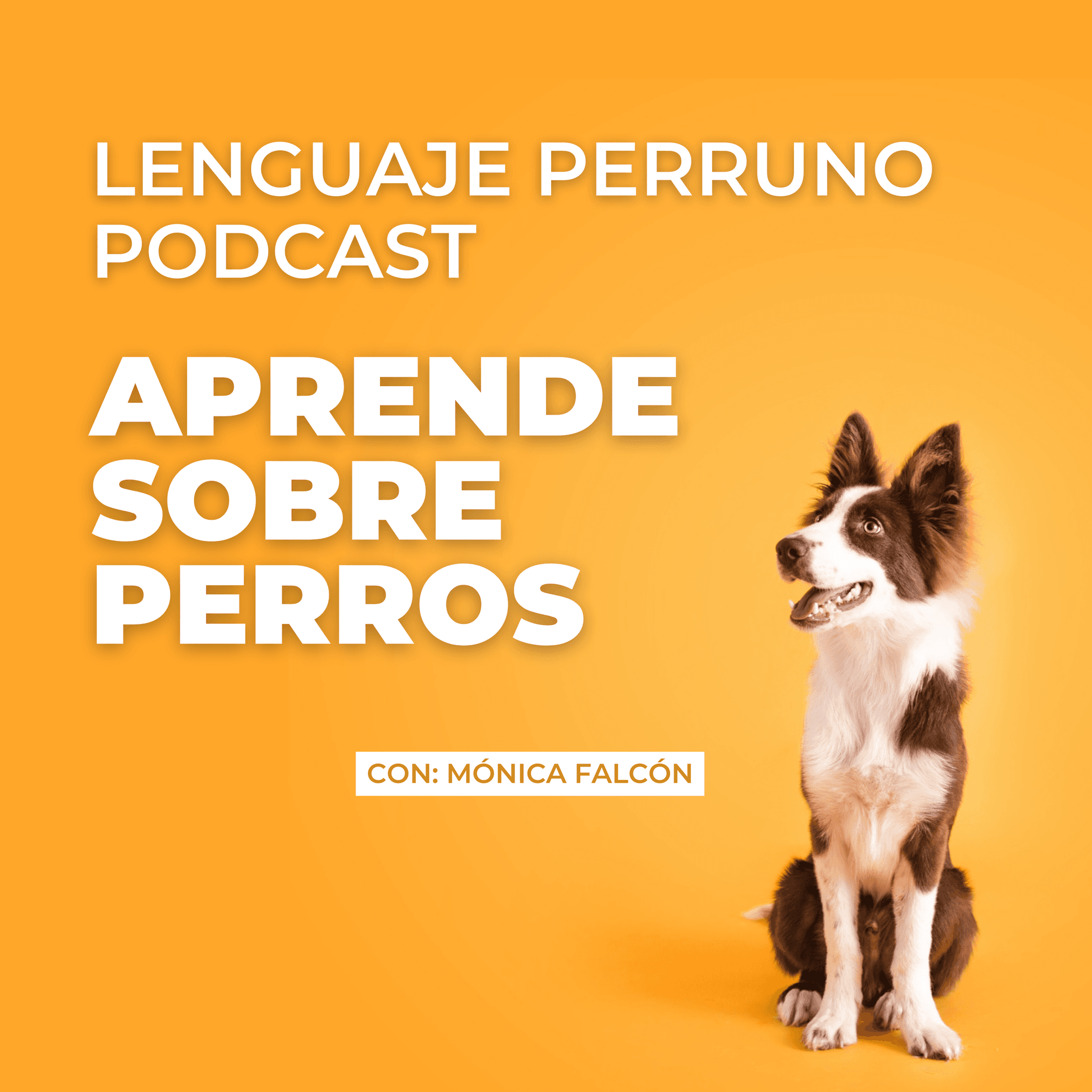Lenguaje Perruno - Podcasts