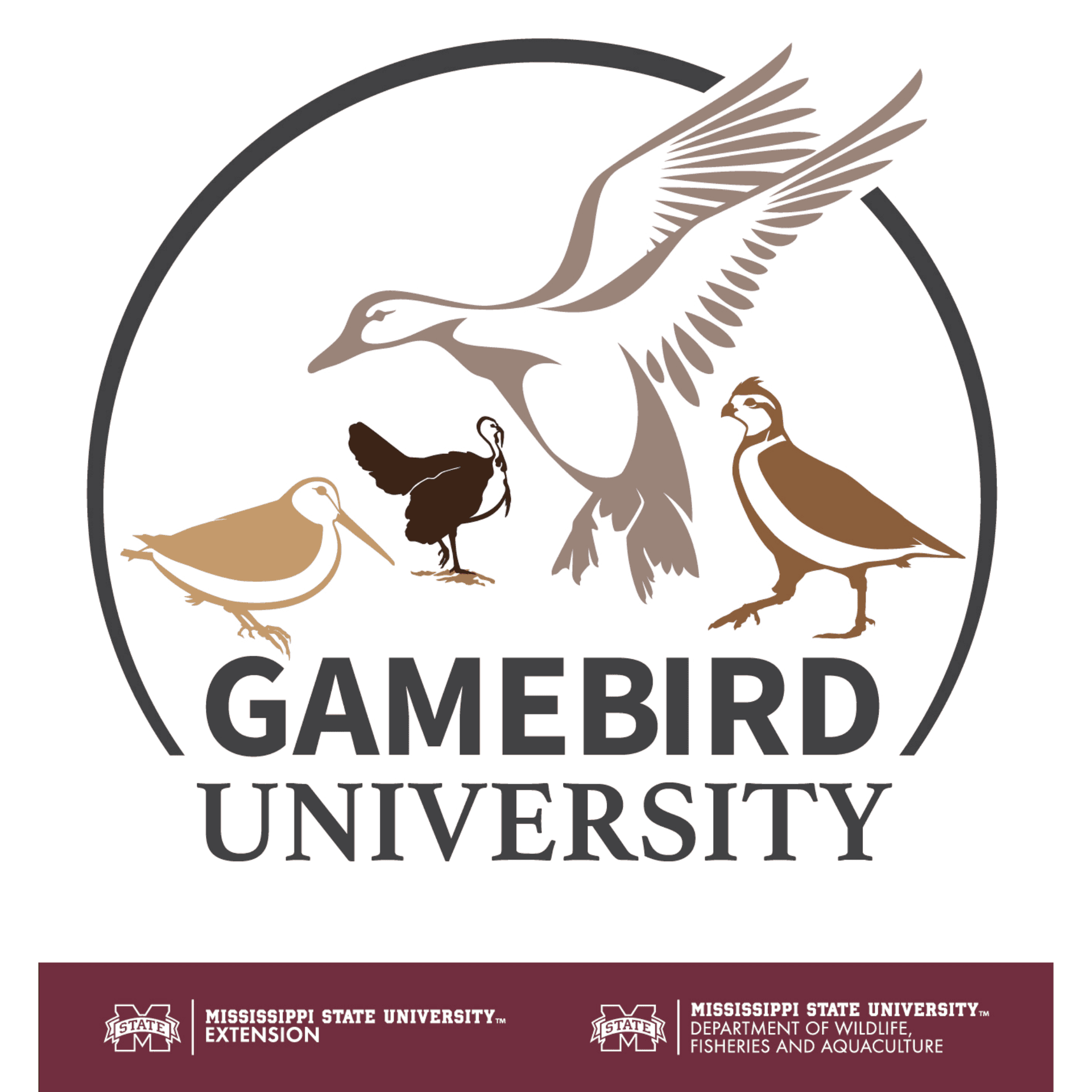 Gamebird University - Podcasts
