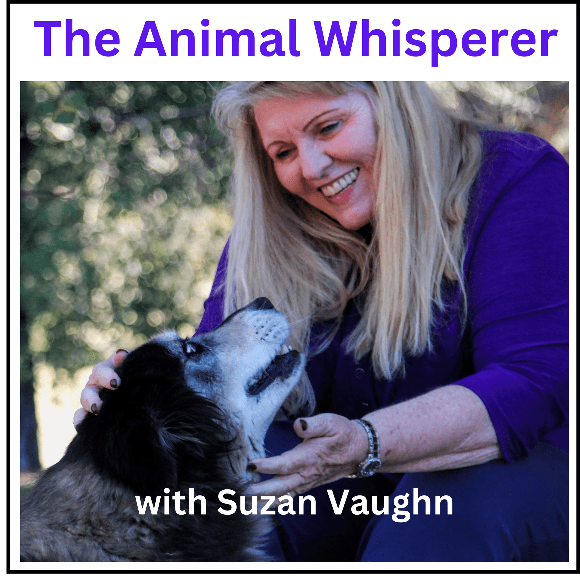 The Animal Whisperer with Suzan Vaughn: Animal Communication Stories - Podcasts