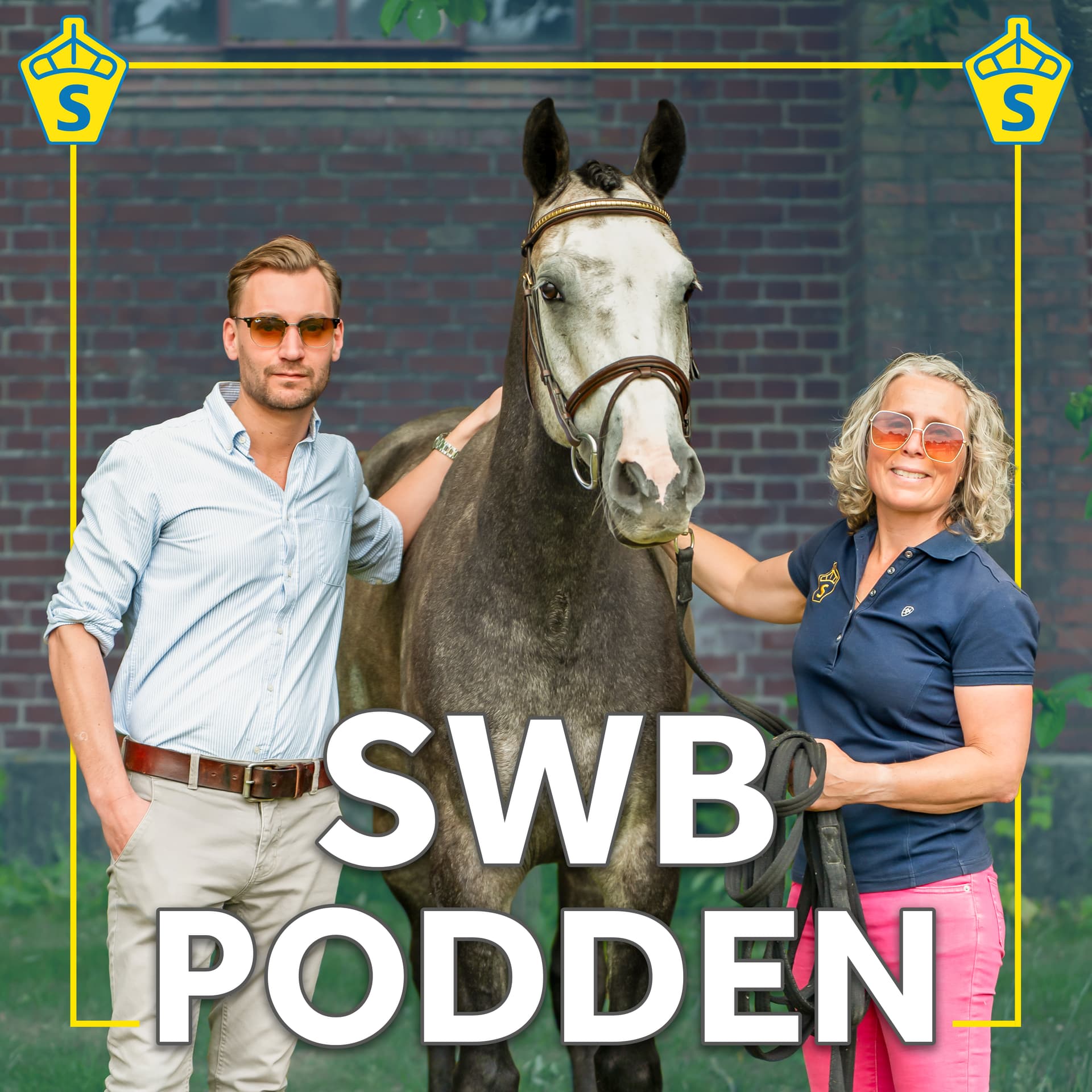SWB Podden - Podcasts