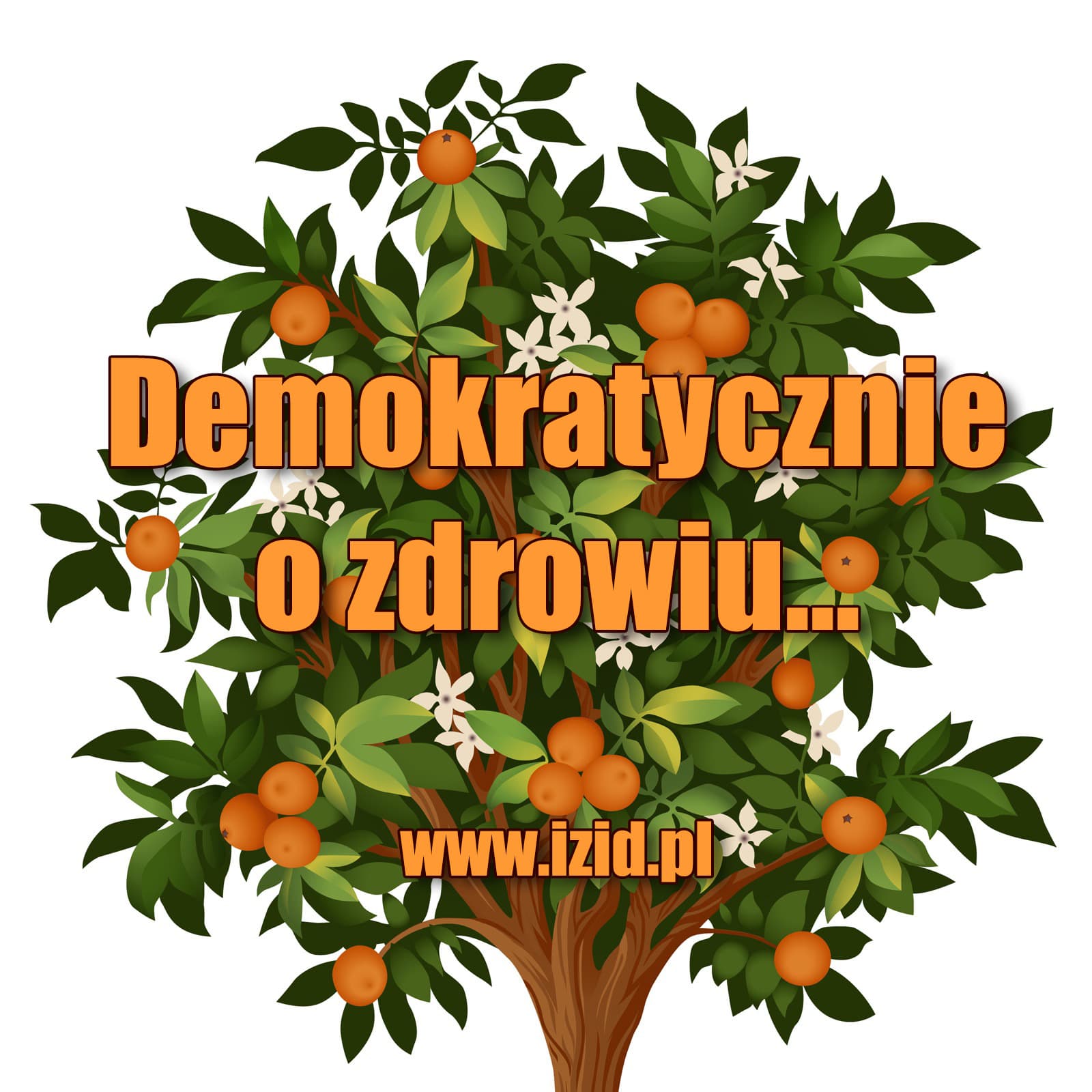 Demokratycznie o zdrowiu - Podcasts