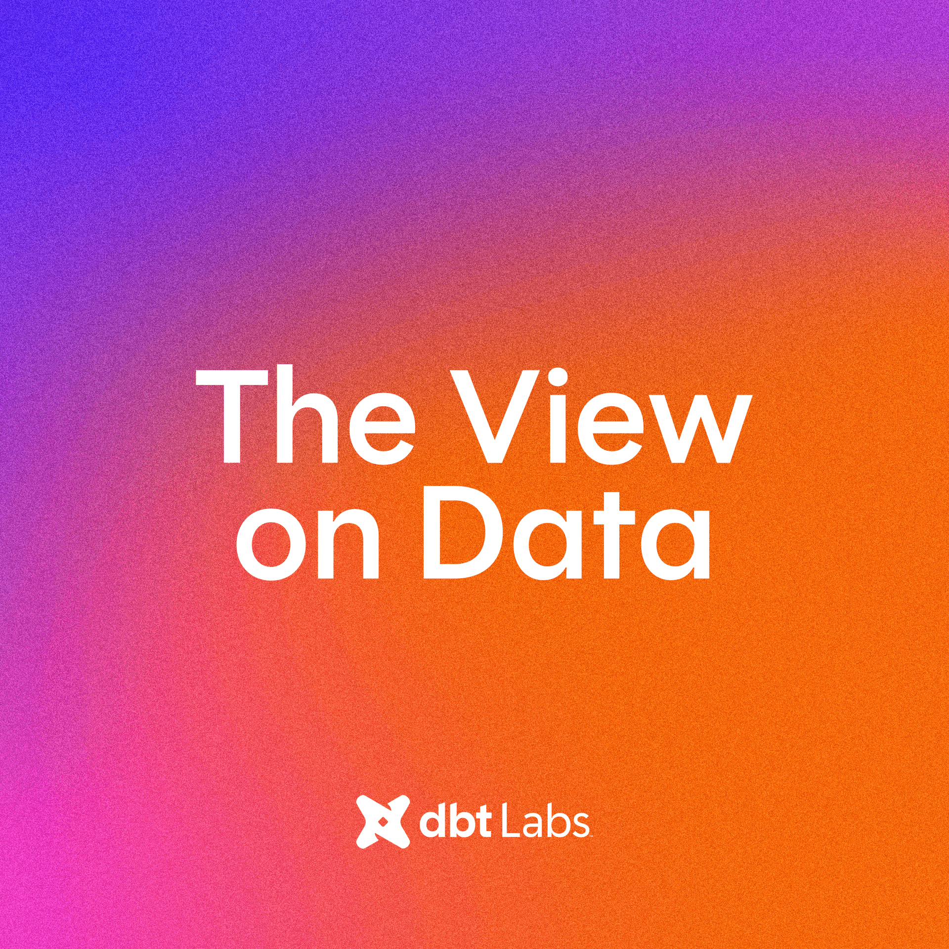 The View on Data - Podcasts