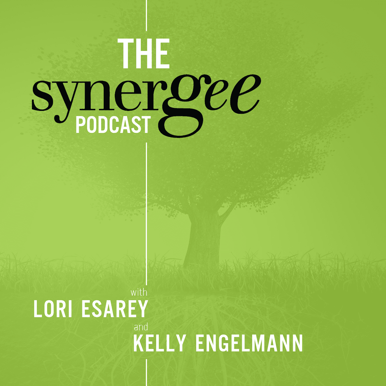 The Synergee Podcast - Podcasts