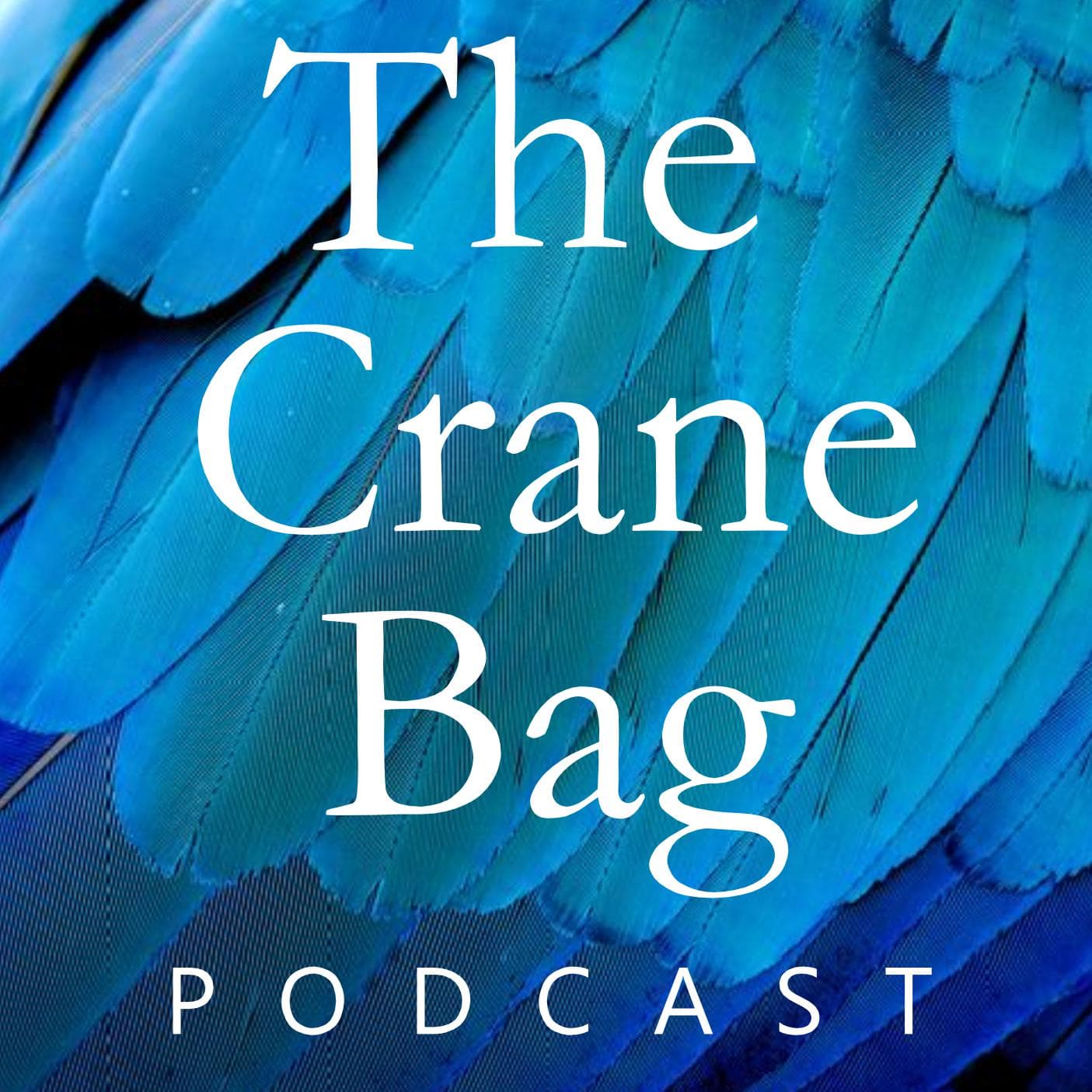 The Crane Bag Podcast - Podcasts