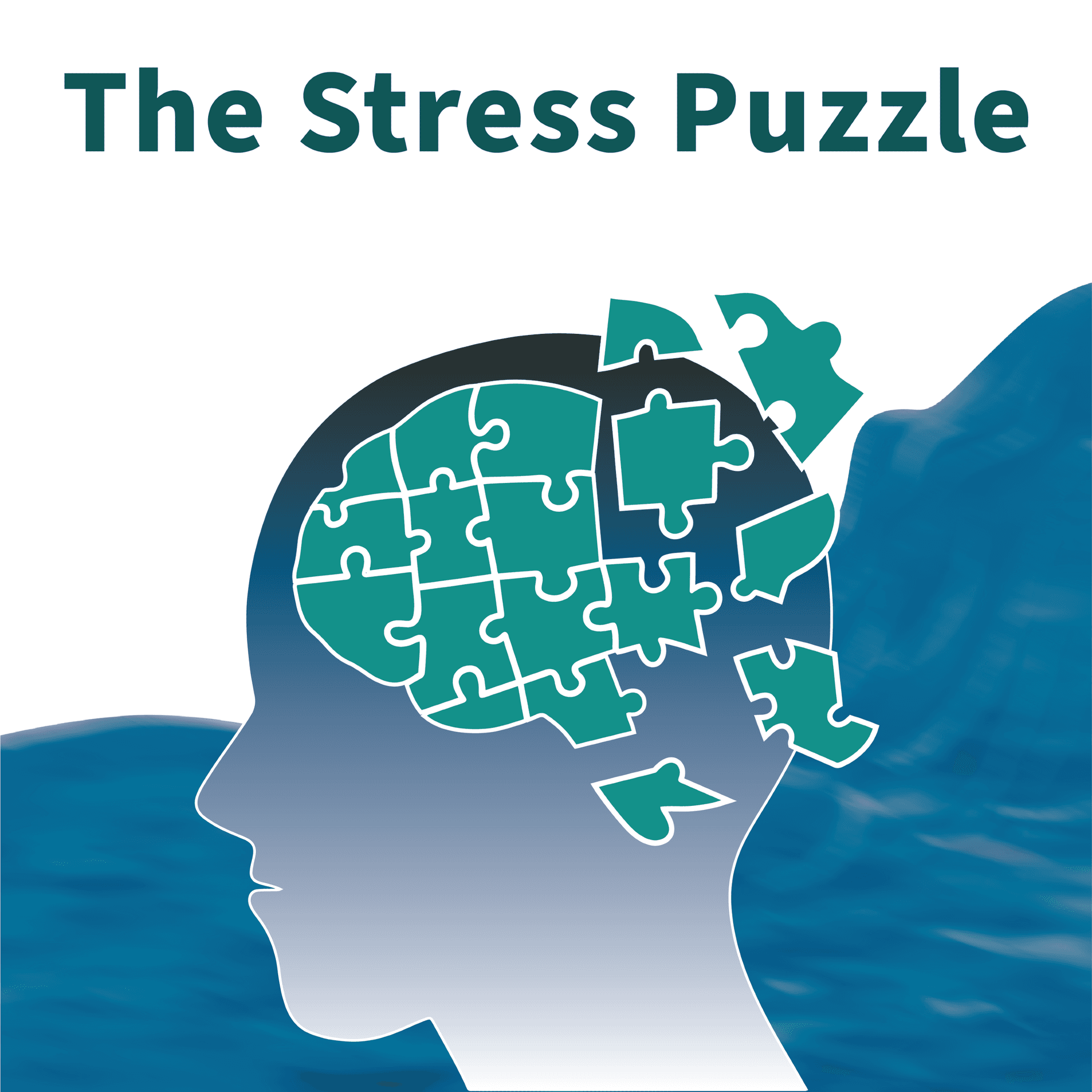 The Stress Puzzle - Podcasts