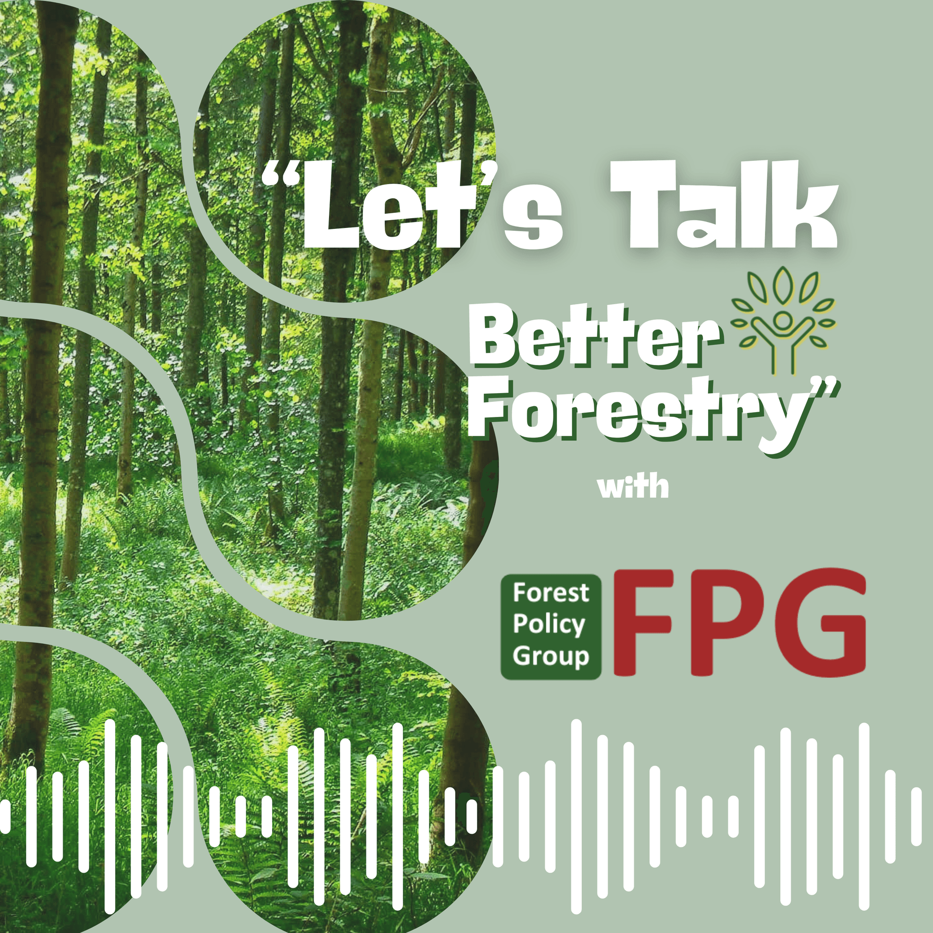"Let's Talk Better Forestry" with Forest Policy Group - Podcasts