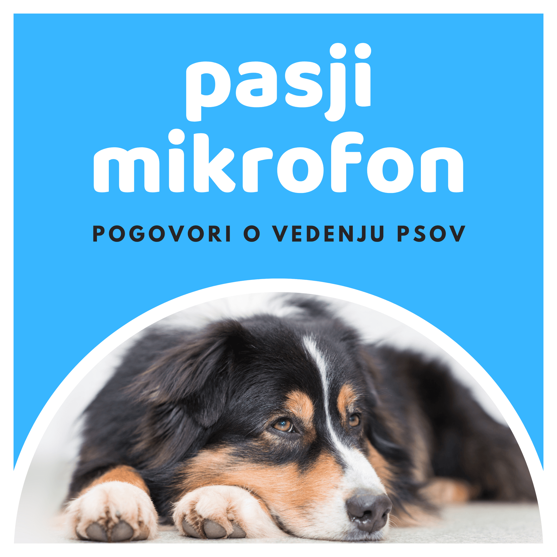 Pasji mikrofon - Podcasts