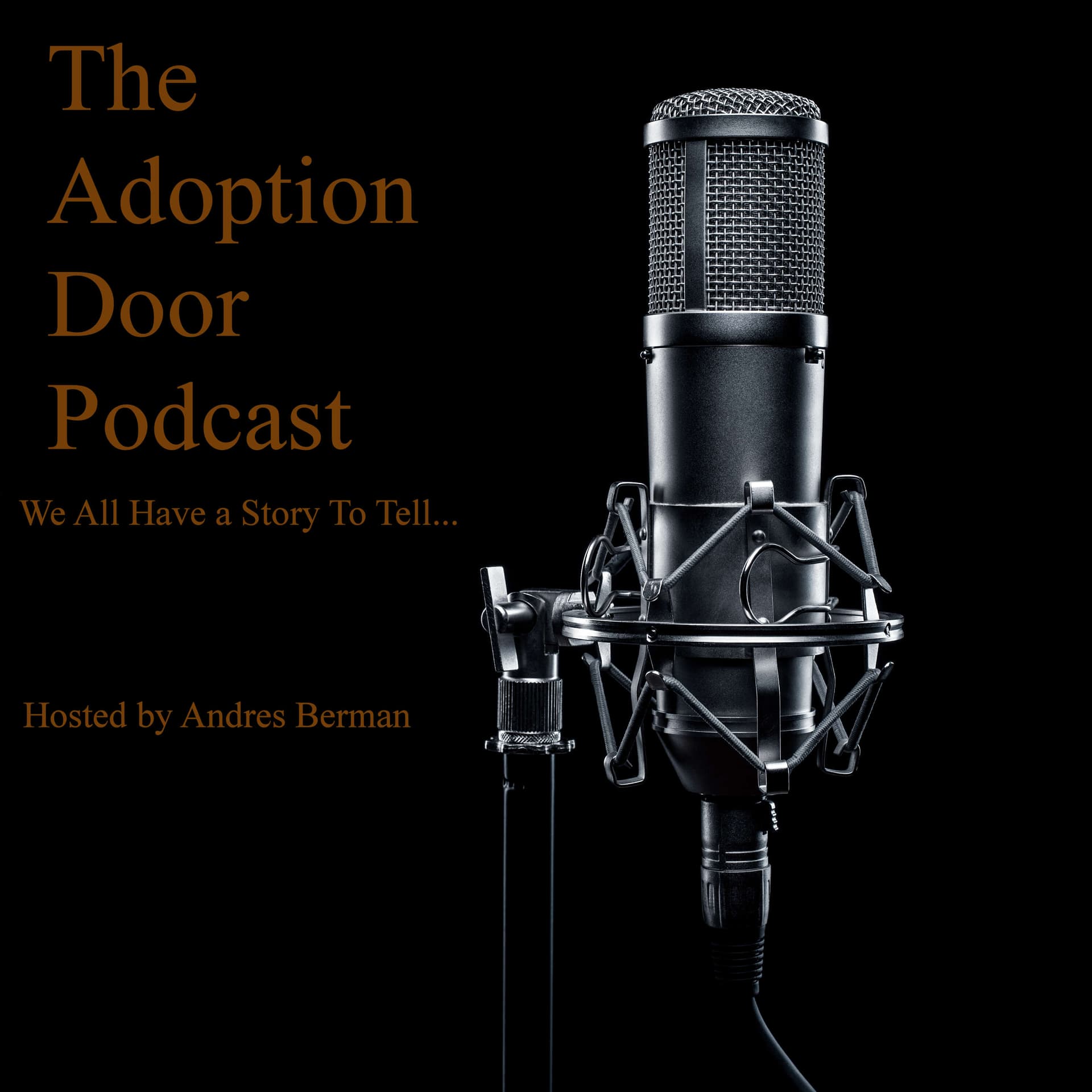 The Adoption Door - Podcasts