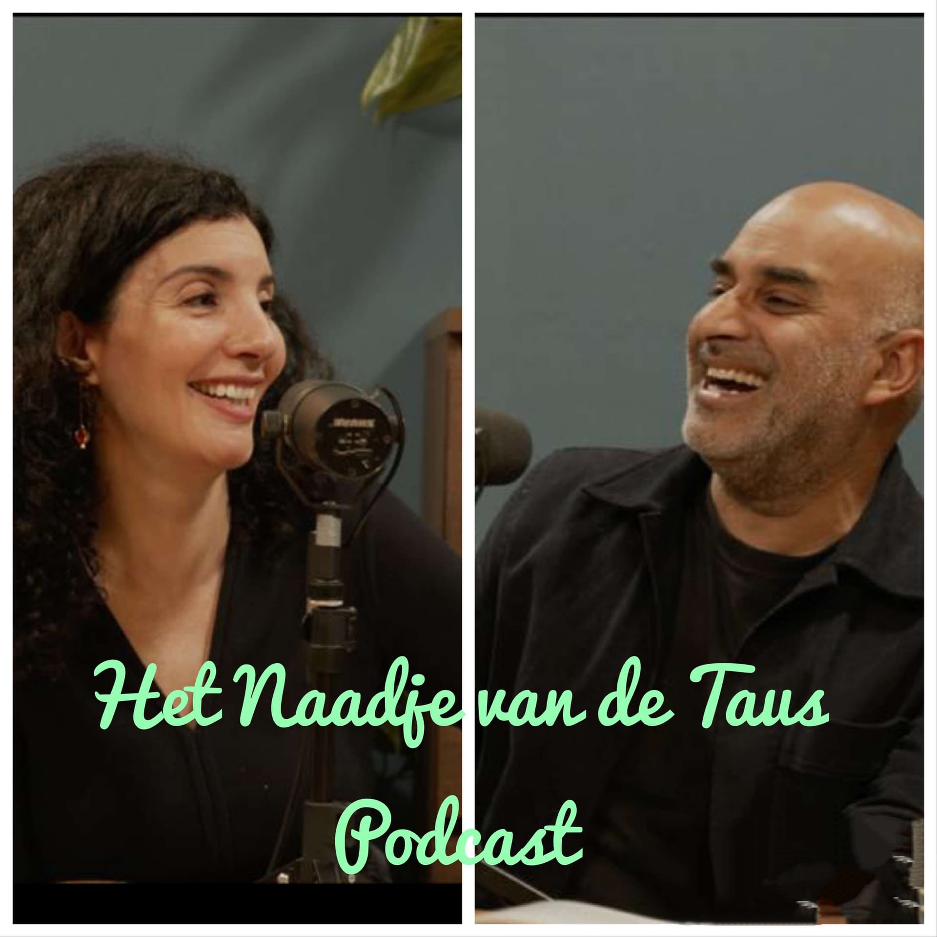 Het Naadje van de Taus Podcast - Podcasts