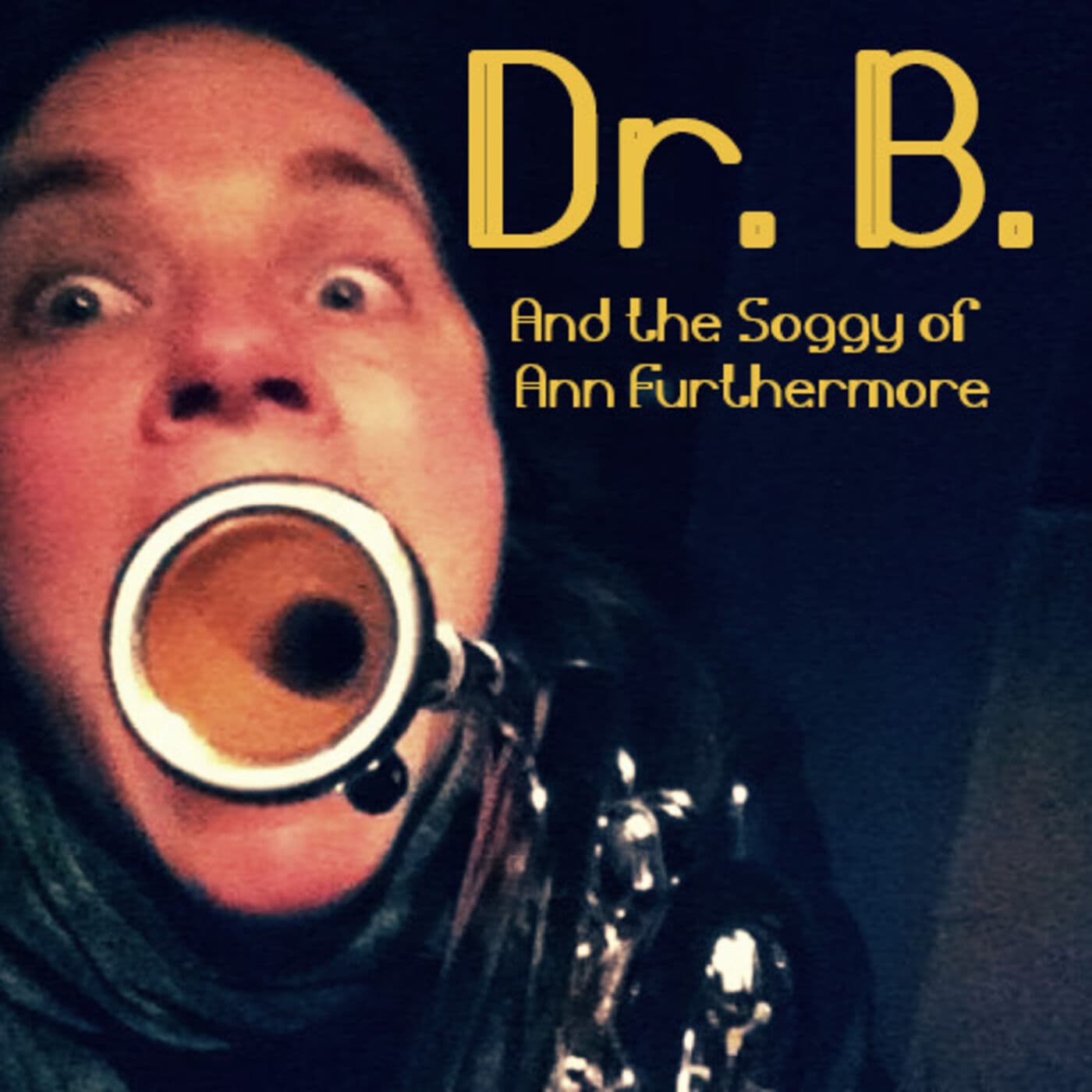 Dr. B and the Soggy of Ann Furthermore - Podcasts