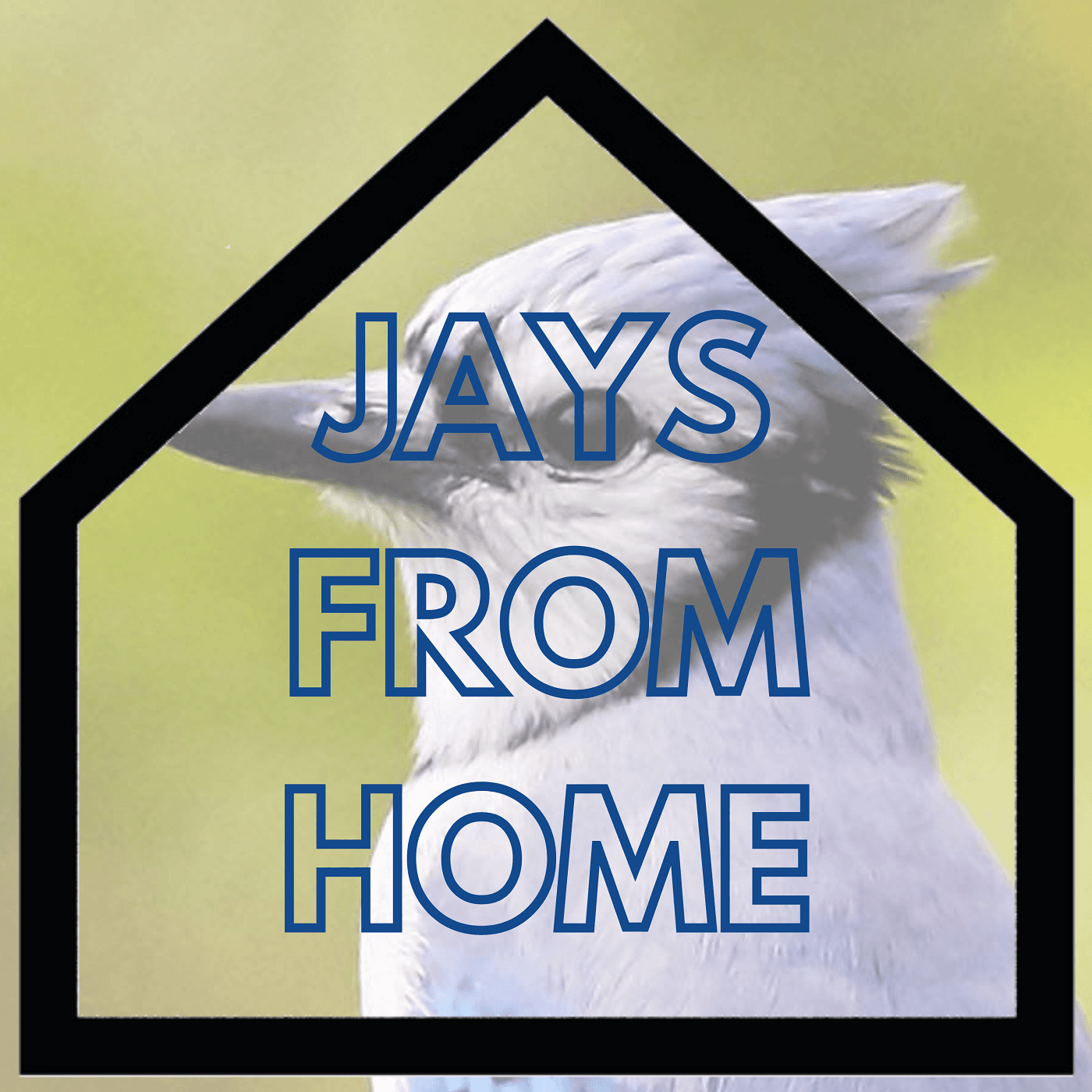 Jays From Home - Podcasts