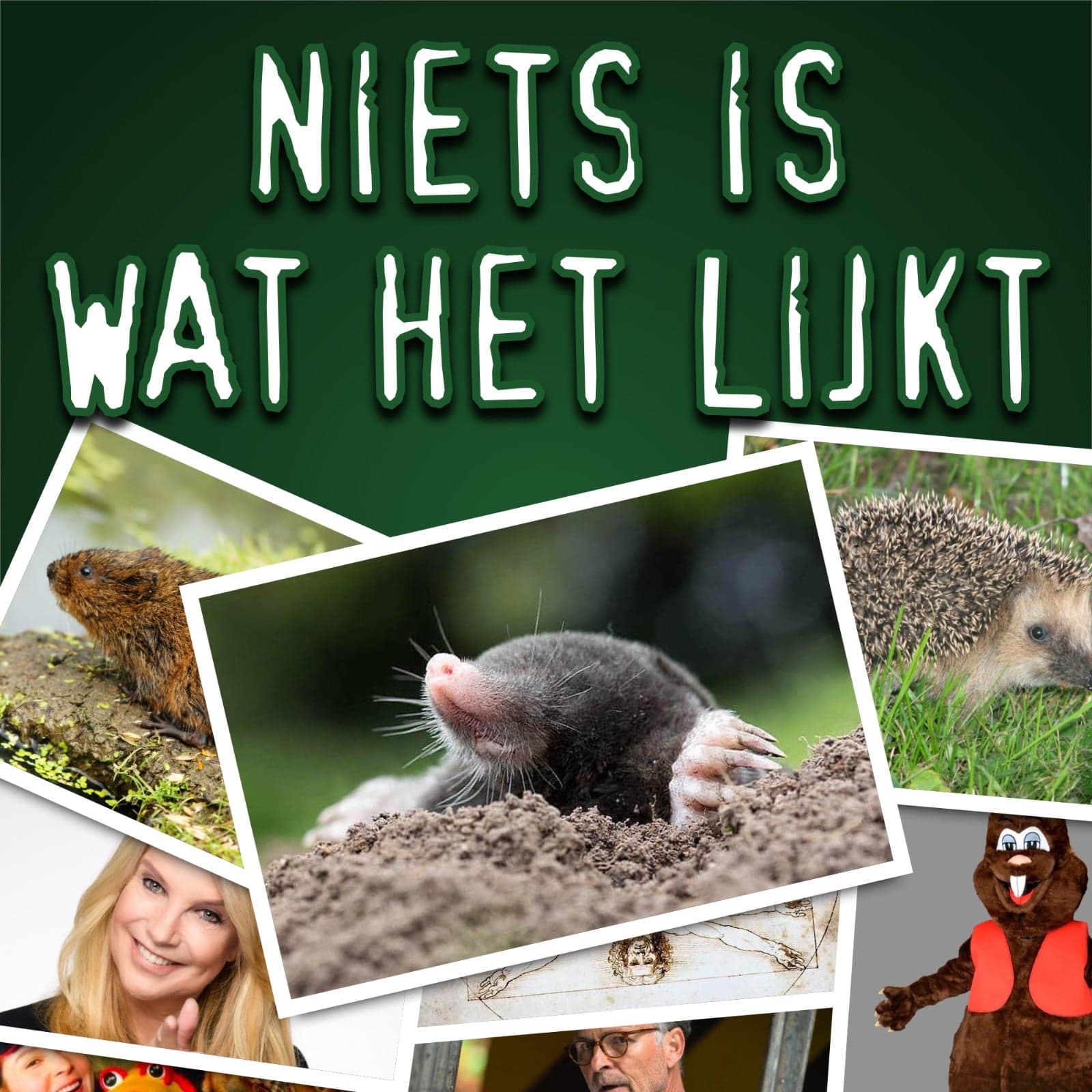 Niets Is Wat Het Lijkt - Podcasts