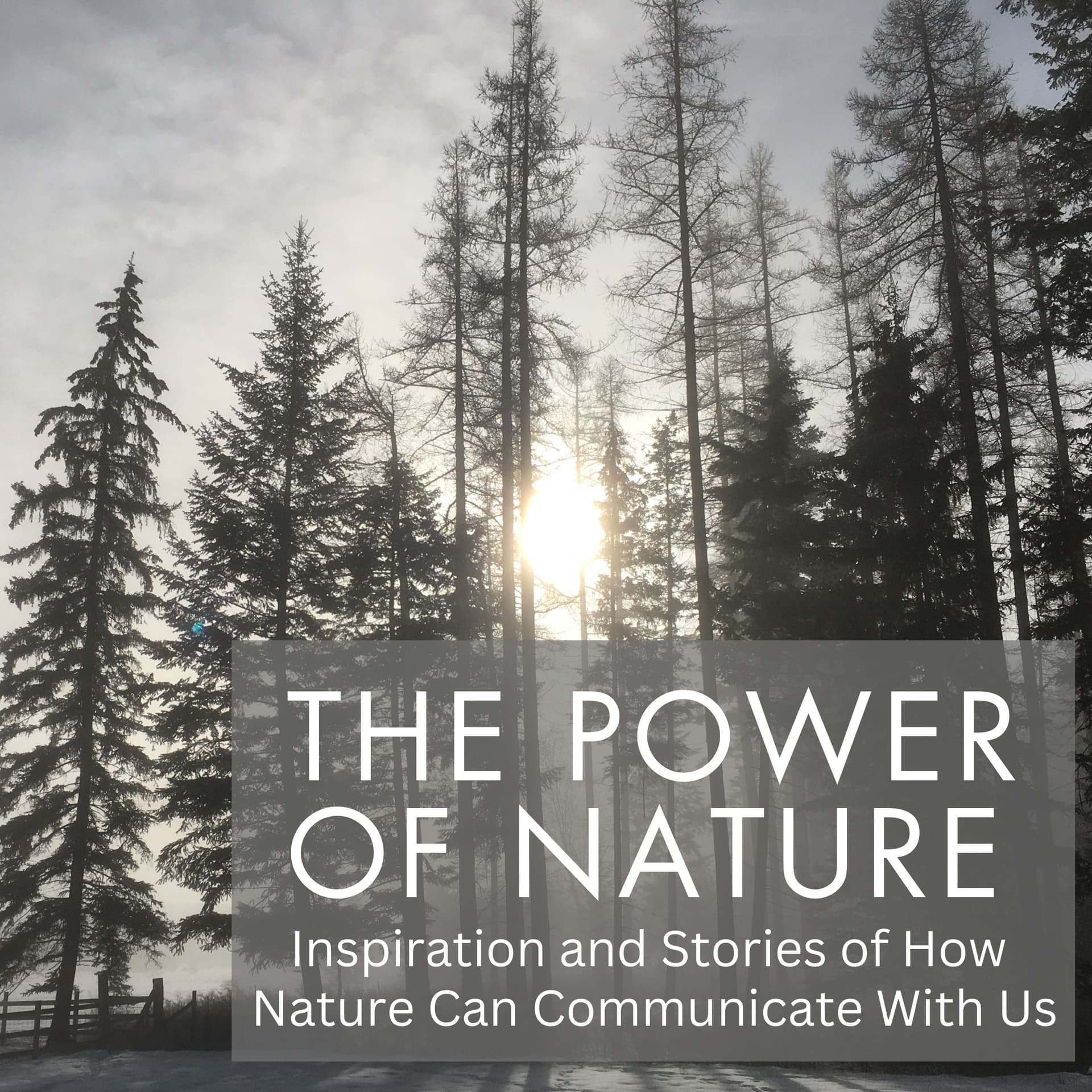 Power of Nature - Inspiration & Stories of How Nature Can Communicate With Us - Podcasts