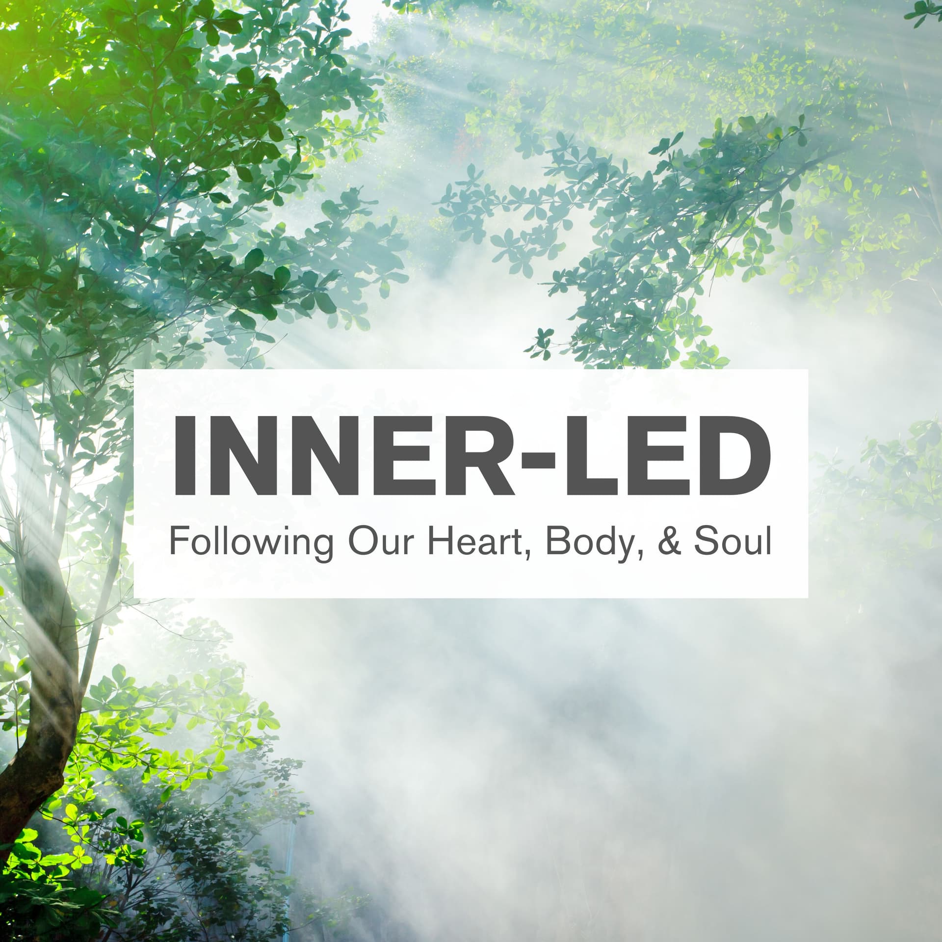 Inner-Led With Michelle Waldo - Podcasts