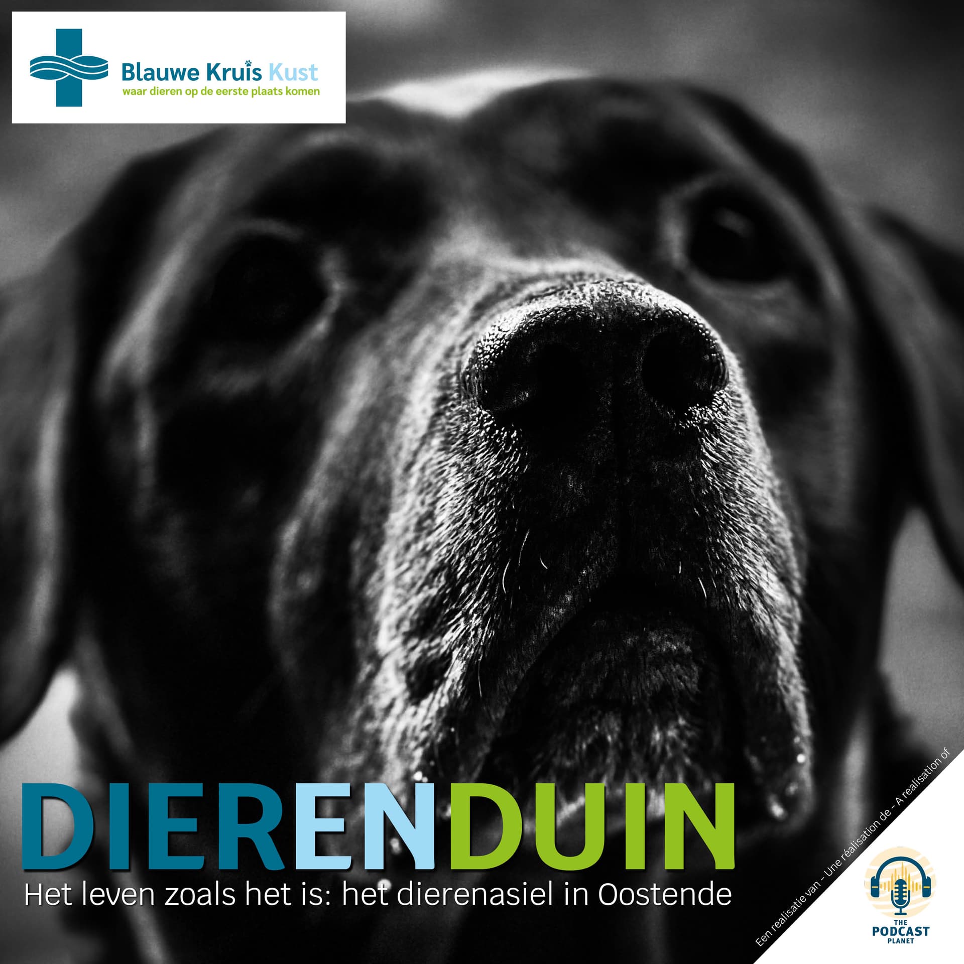 Dierenduin - Podcasts