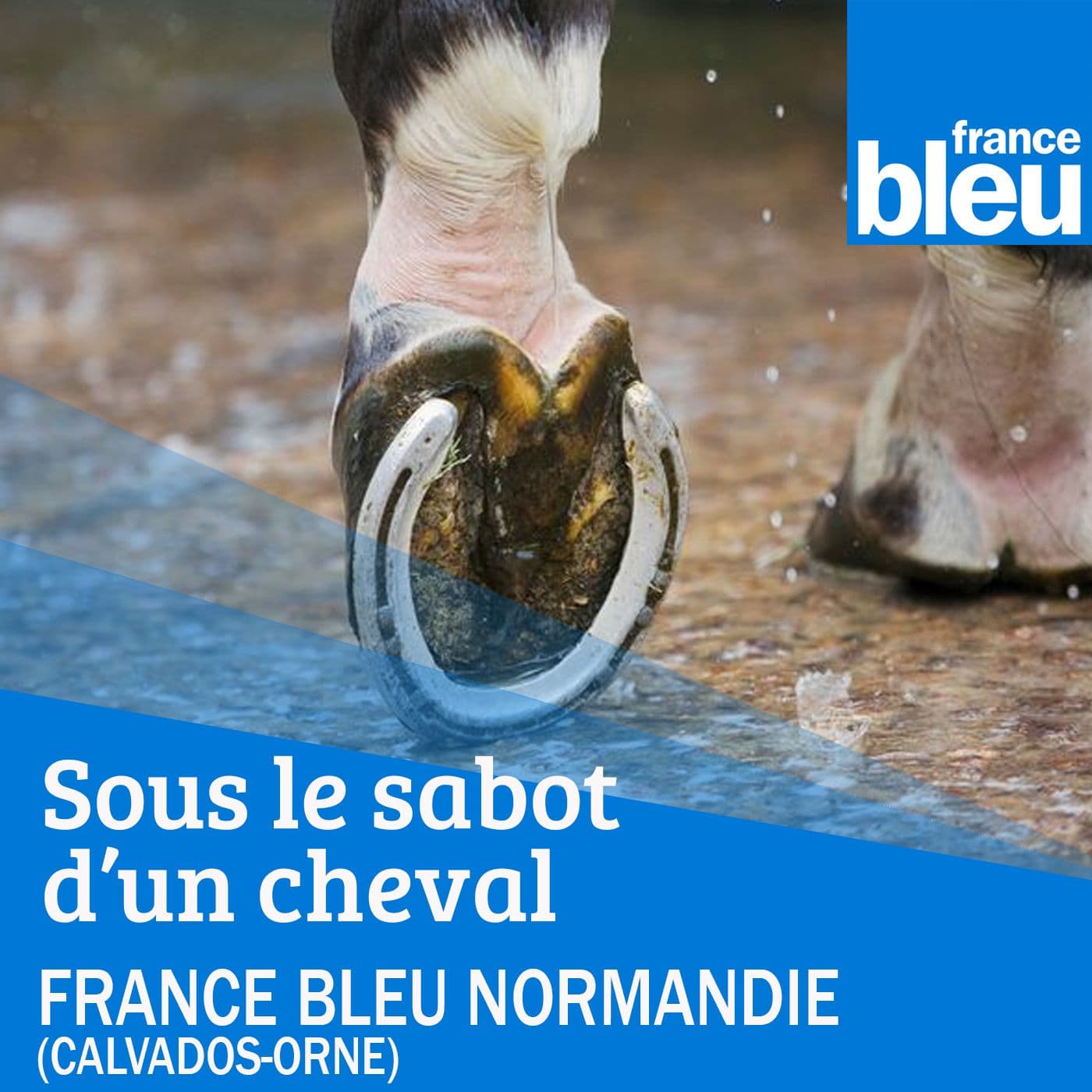 Sous le sabot d'un cheval - FB Normandie (Caen) - Podcasts