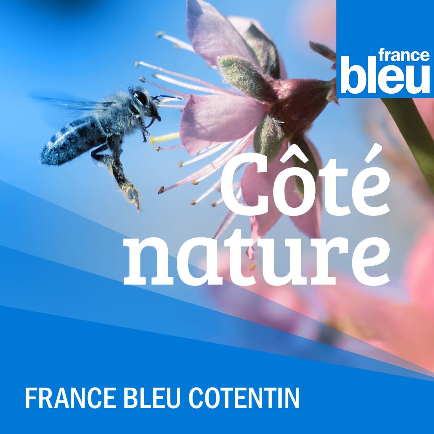 Côté nature FB Cotentin - Podcasts