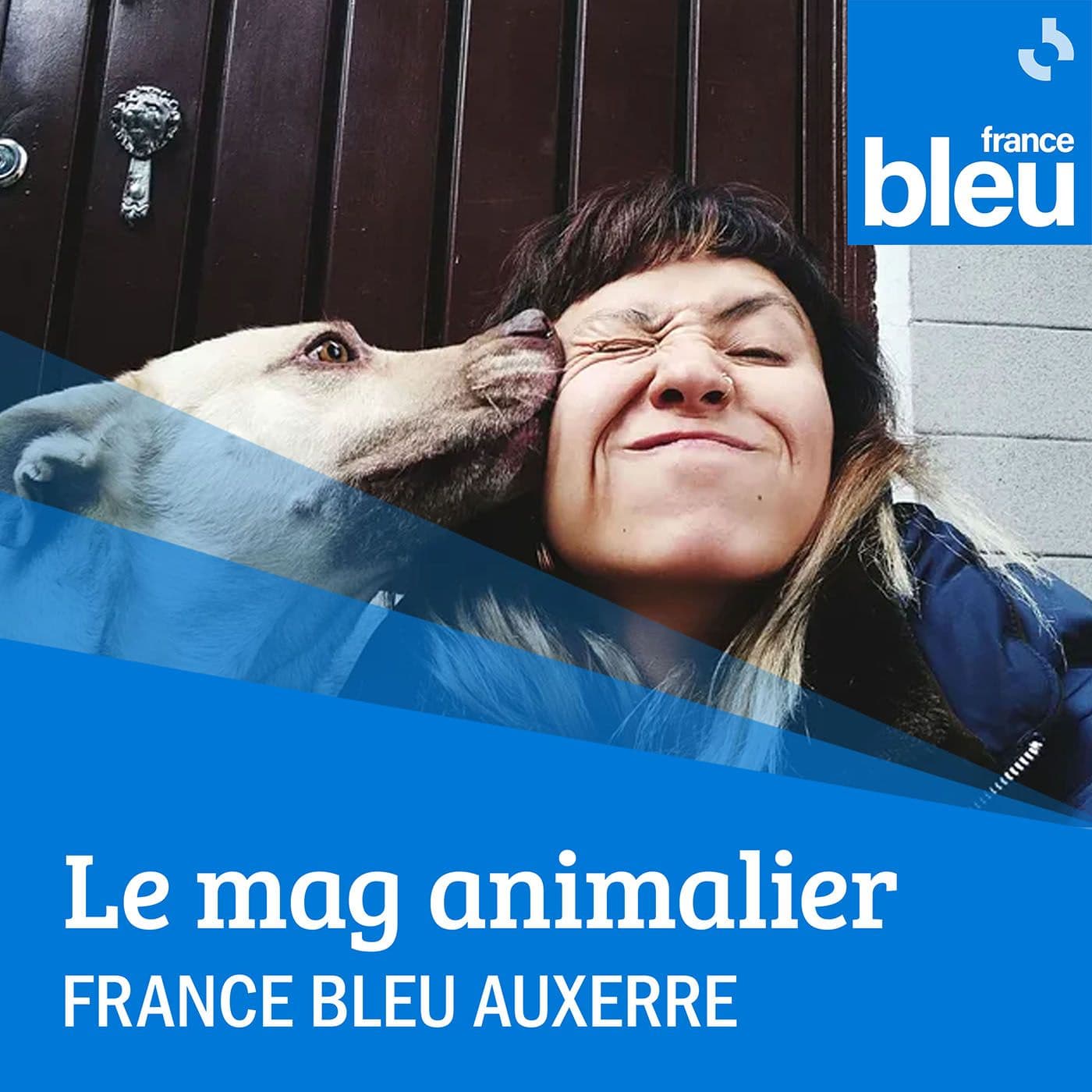 Le mag animalier - Podcasts