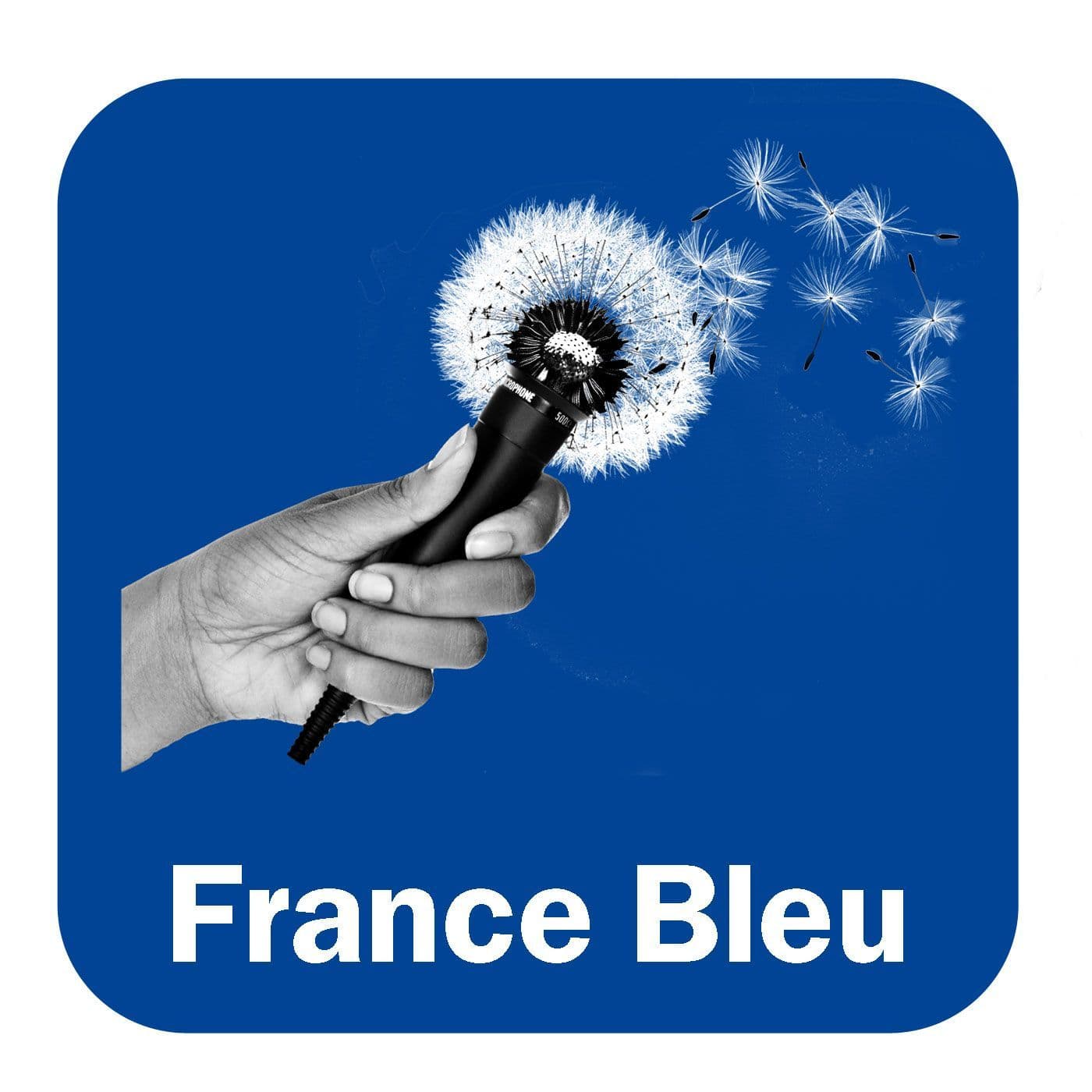 Naturellement Vaucluse - Podcasts