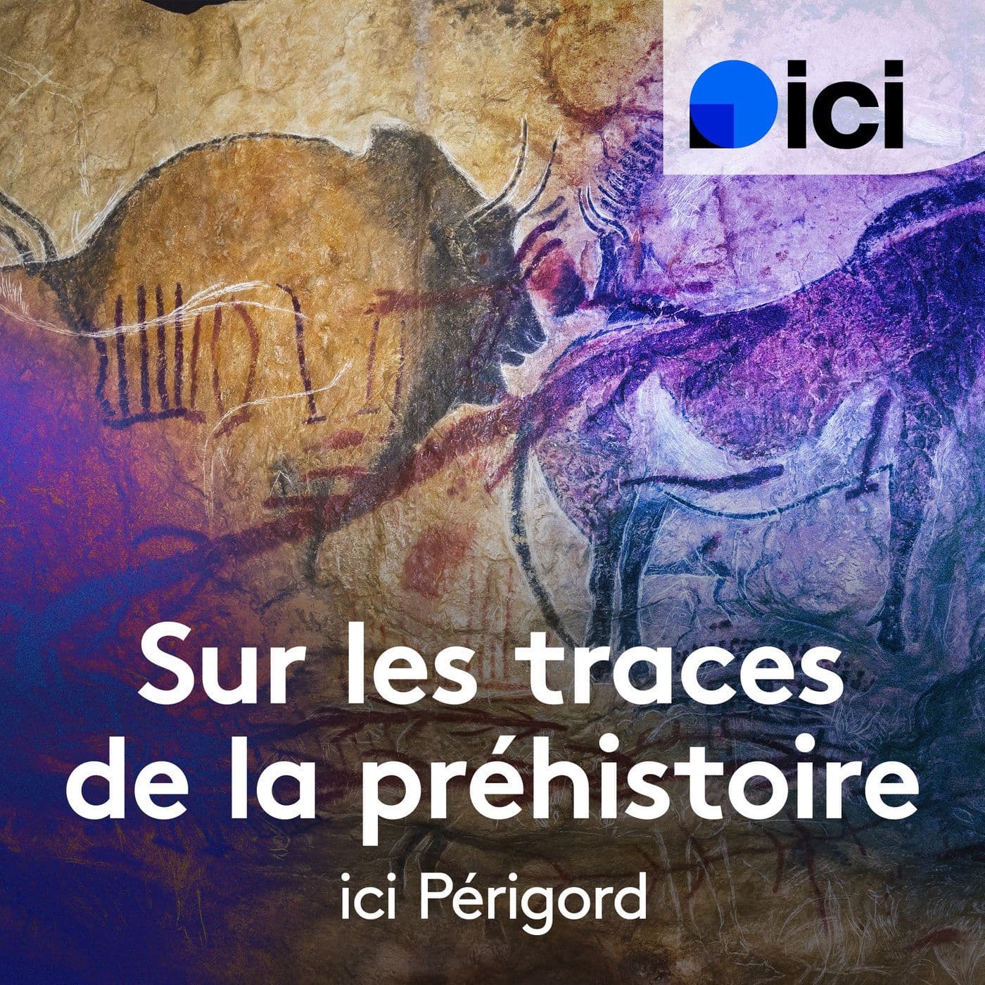 Sur les traces de la Préhistoire - Podcasts