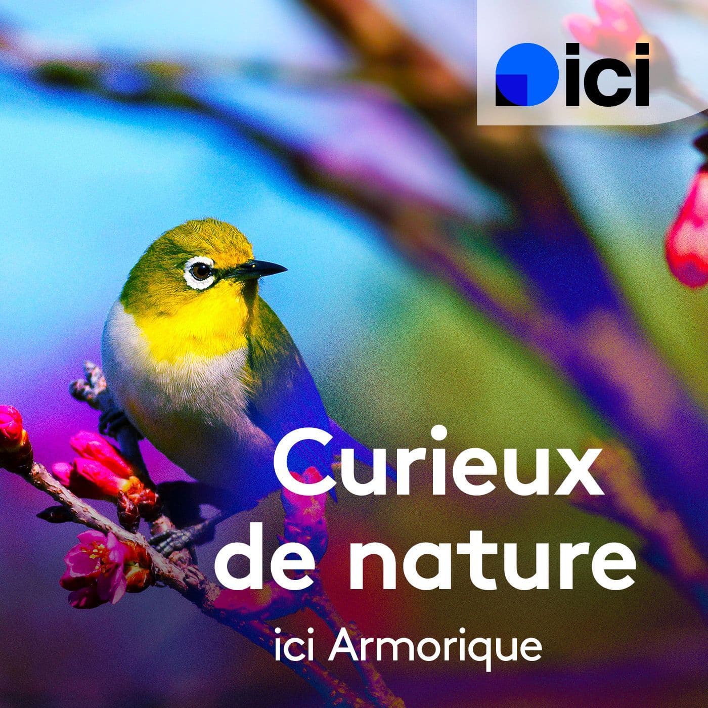 Curieux de nature - Podcasts