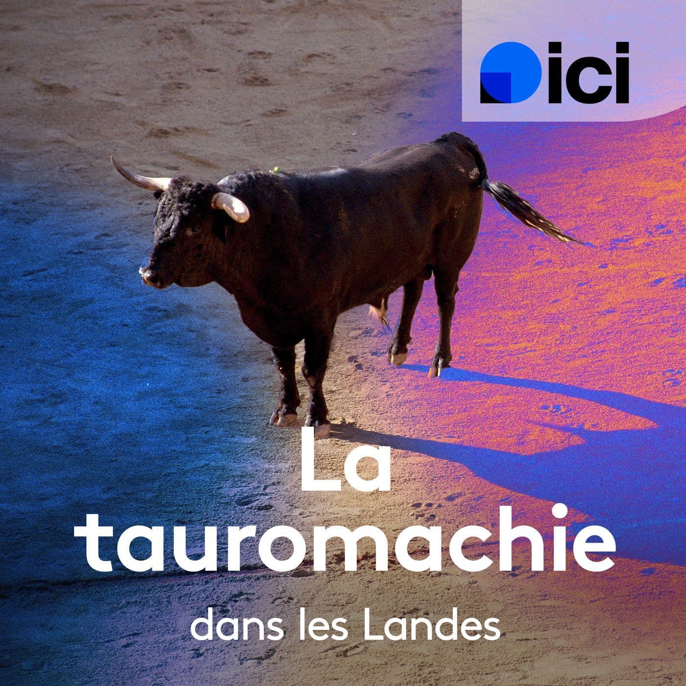 La Tauromachie dans les Landes - Podcasts