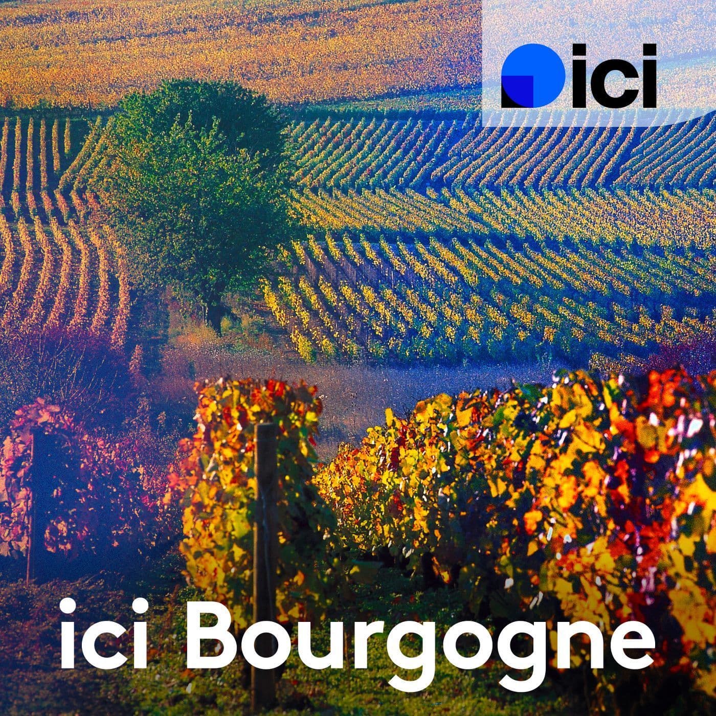 L’asso d’ici, ICI Bourgogne - Podcasts