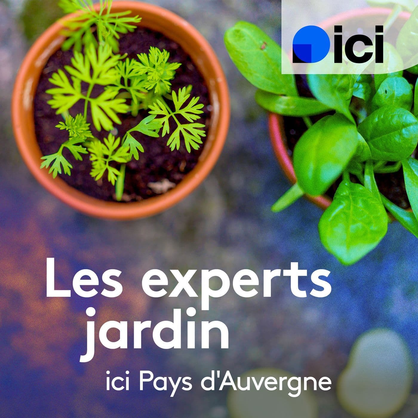 Les experts jardin, ici Pays d'Auvergne - Podcasts