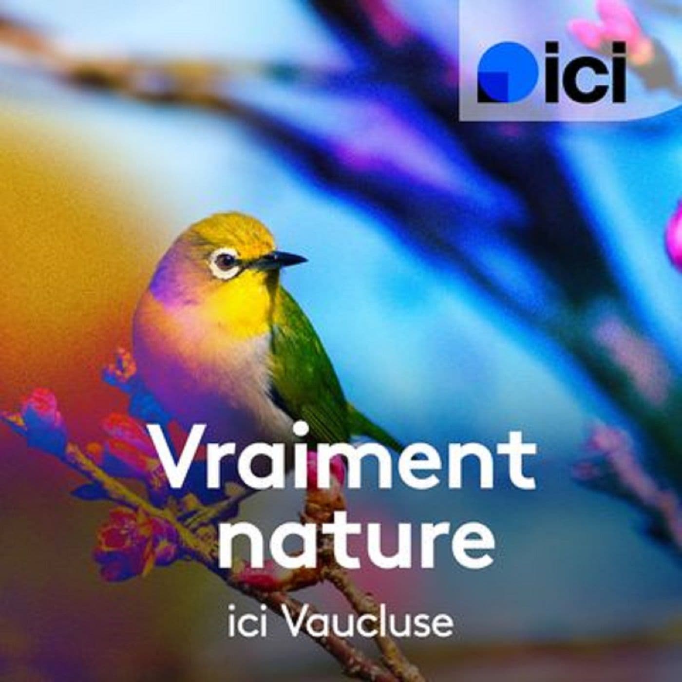 Vraiment nature, ici Vaucluse - Podcasts