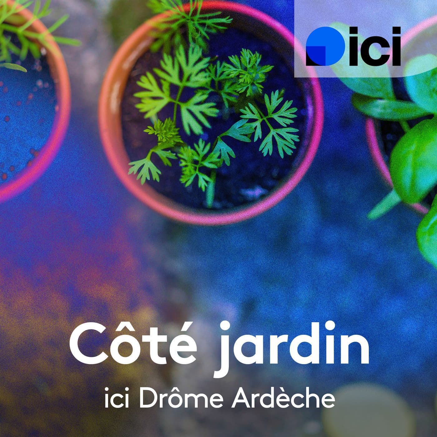 Côté jardin, ICI Drôme Ardèche - Podcasts