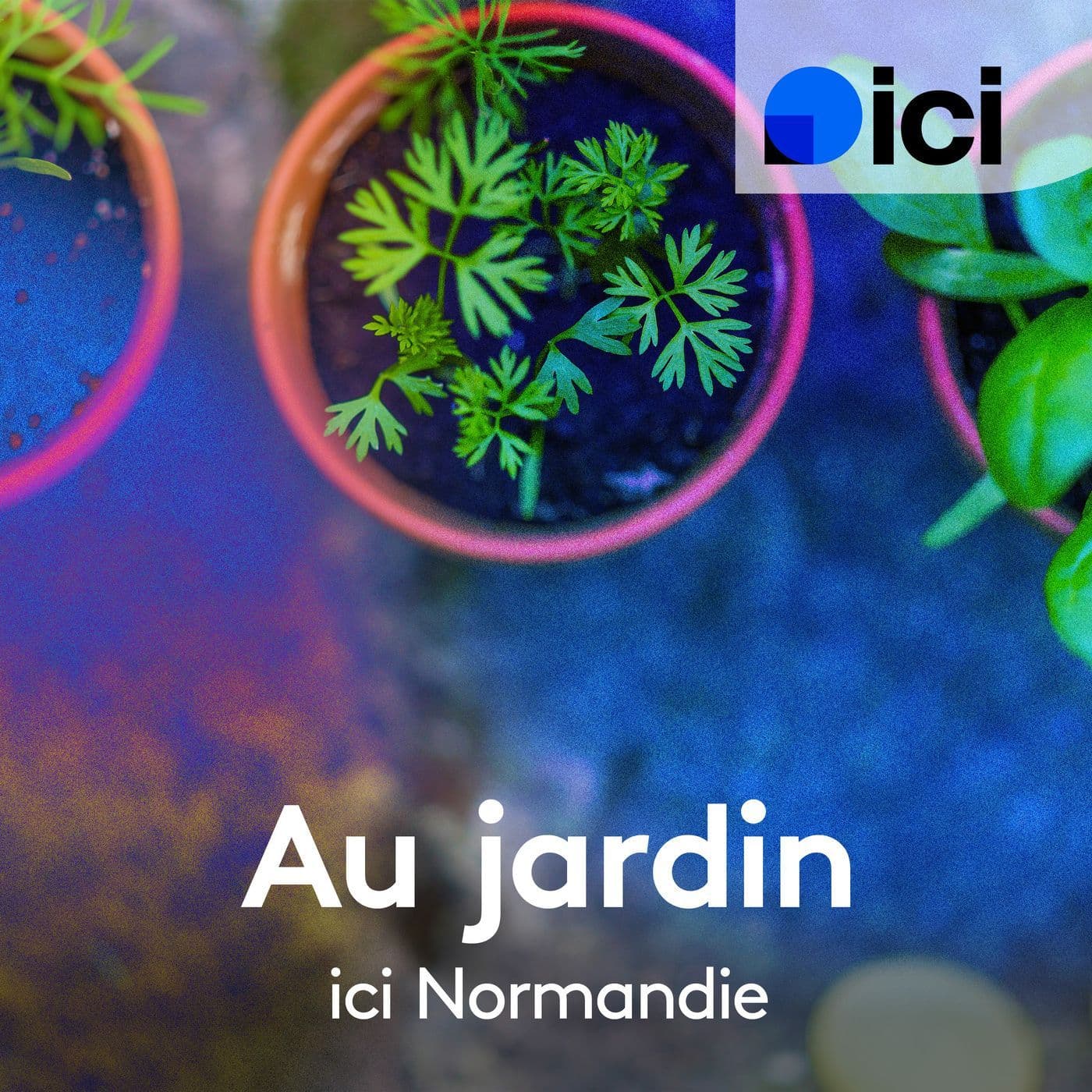 ici Normandie au jardin - Podcasts