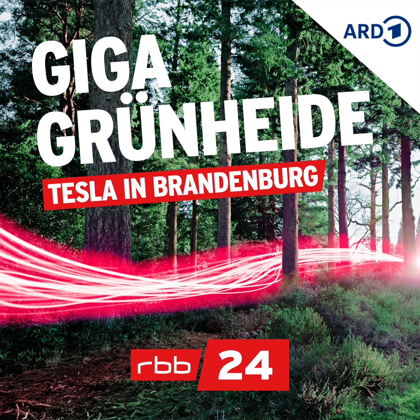 Giga Grünheide - Tesla in Brandenburg - Podcasts