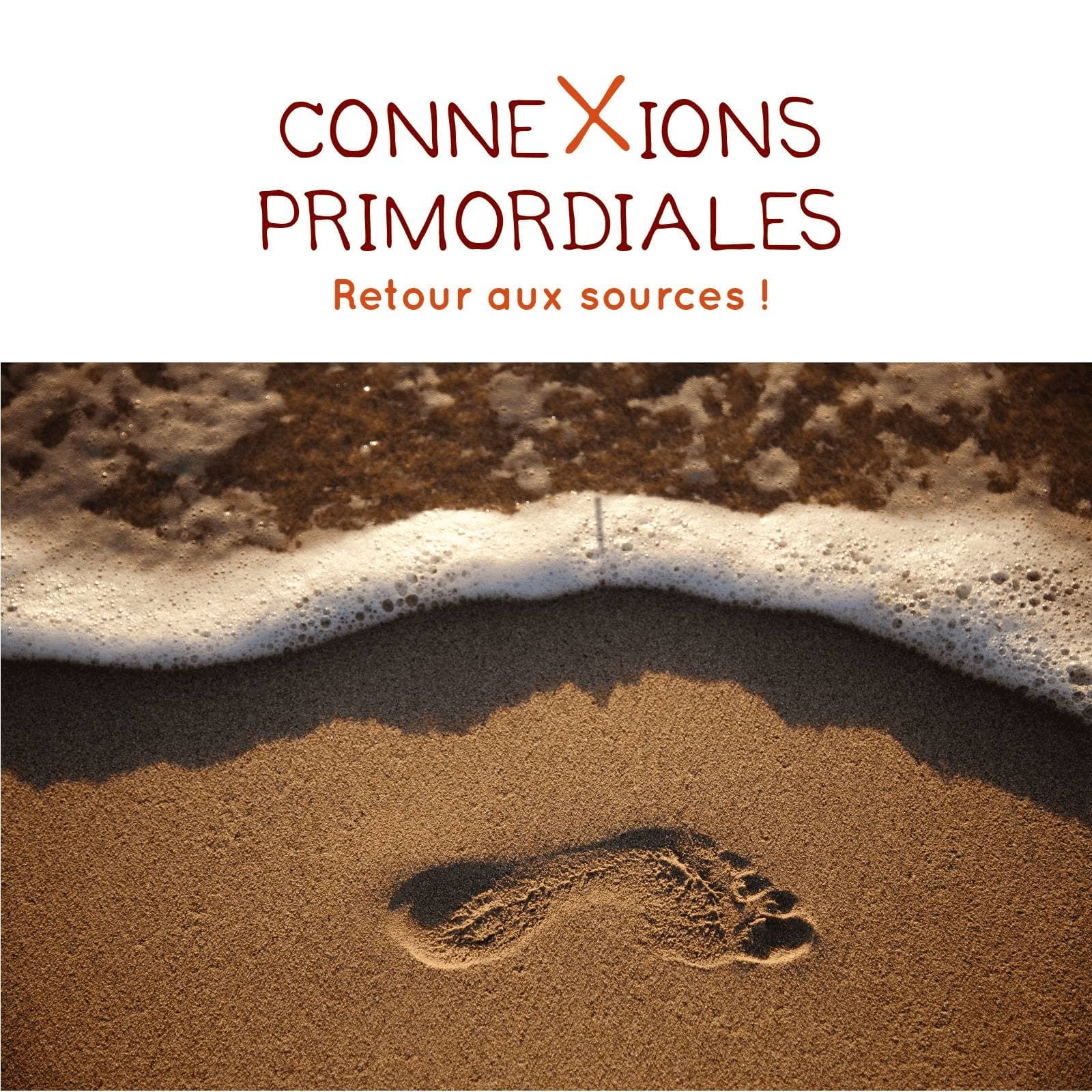 Connexions primordiales : réflexes archaïques, IMP, mouvement, apprentissage - Podcasts