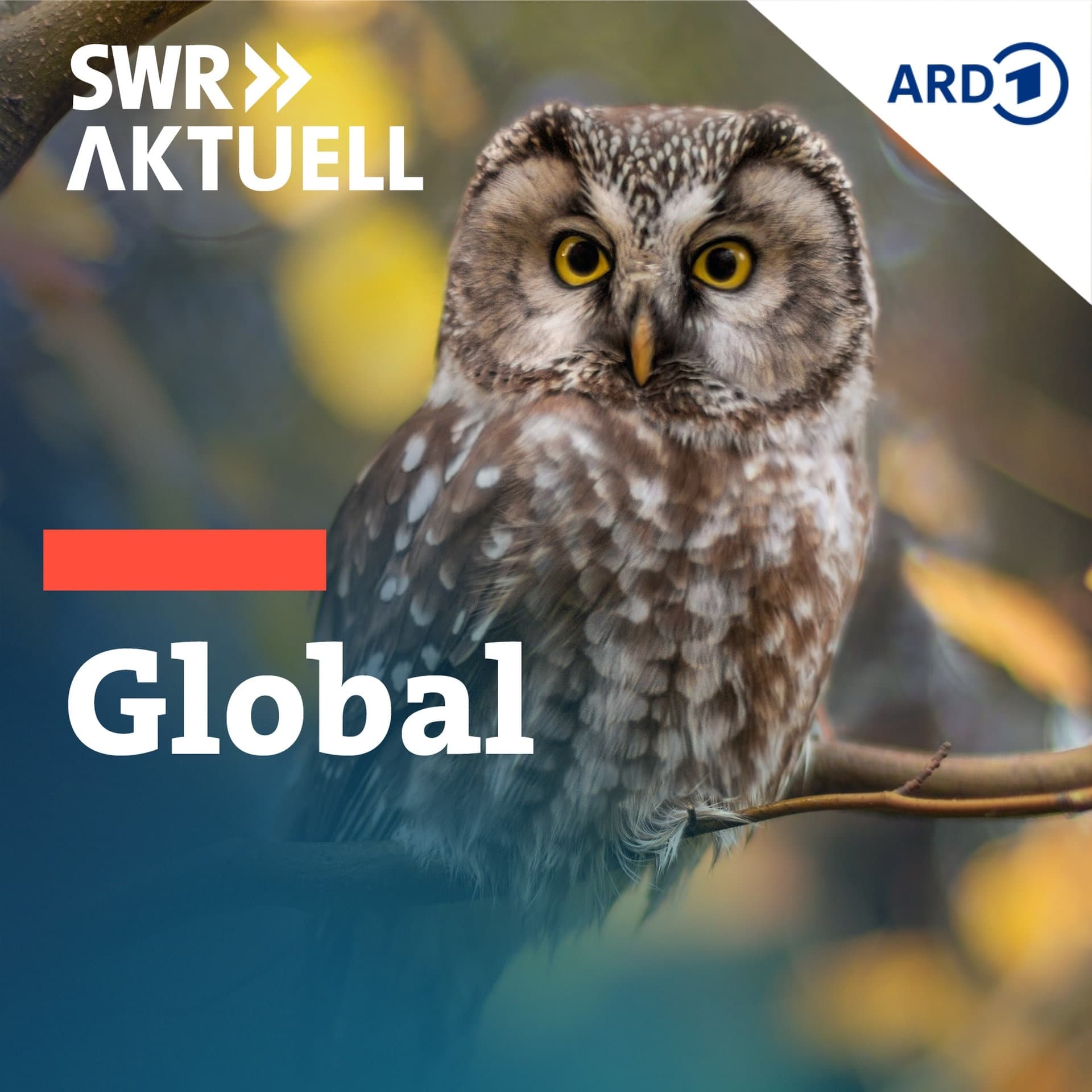 SWR Aktuell Global - das Umweltmagazin - Podcasts